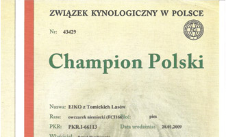 Eiko z Tomickich Lasów - Champion Polski