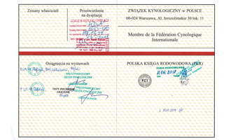FUZJA z Tomickich Lasów - Księga Rodowoda