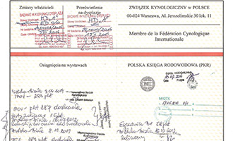 Ika z Tomickich Lasów - Księga Rodowoda