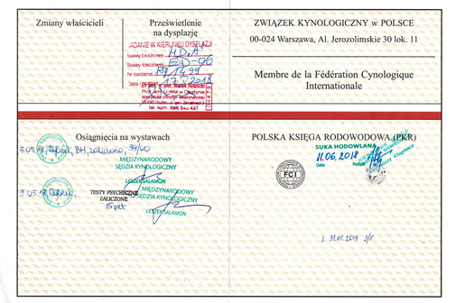FUZJA z Tomickich Lasów